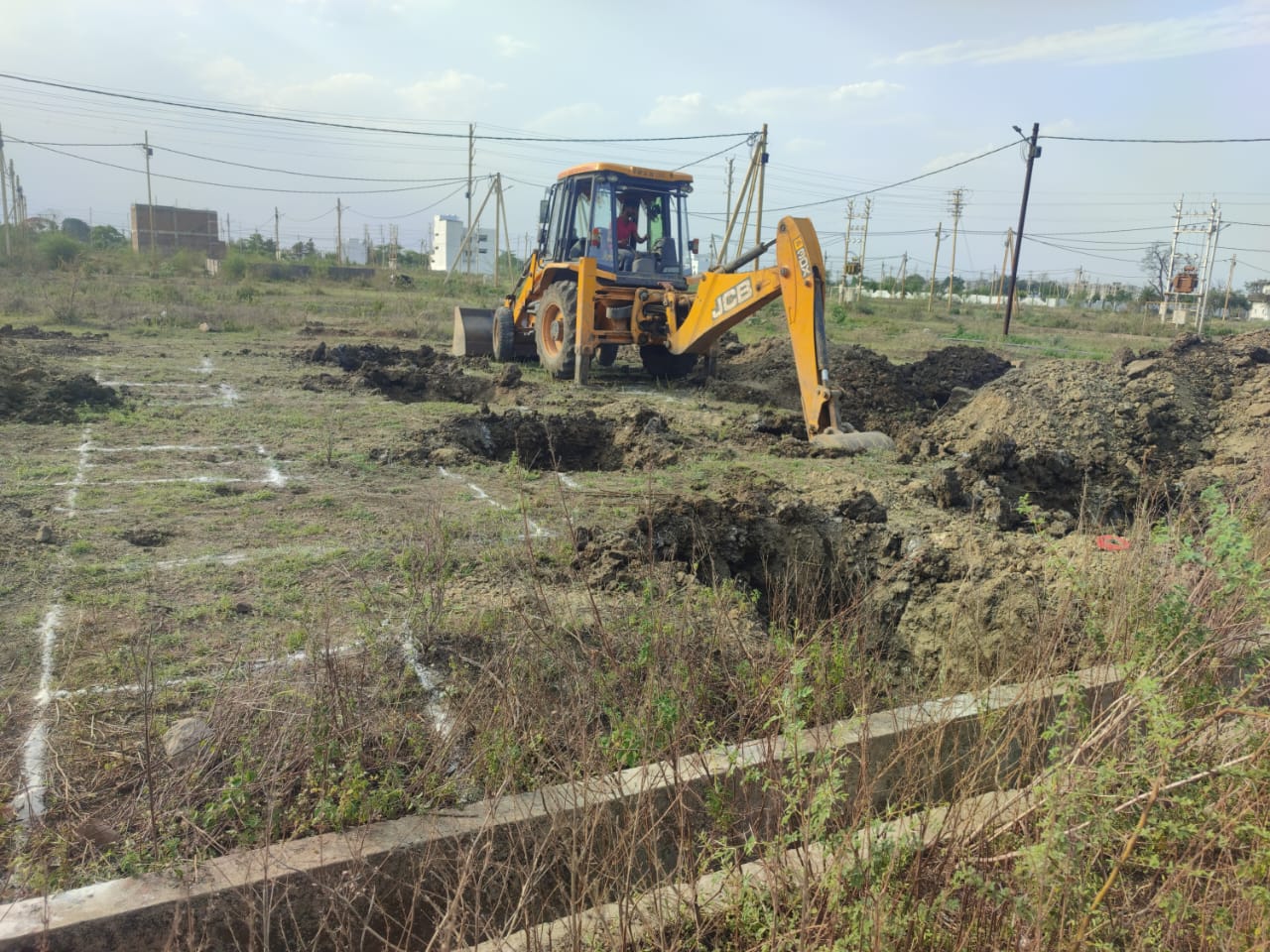 WhatsApp Image 2026-02-19 at 19.03.45