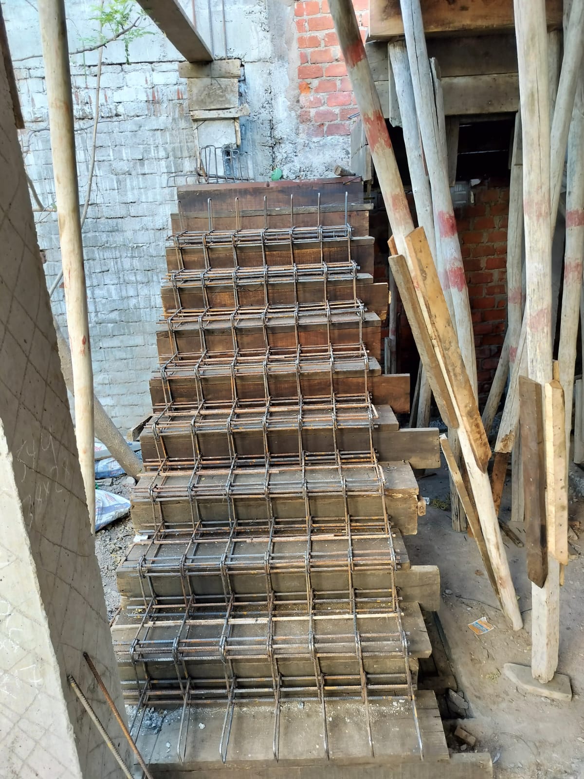 WhatsApp Image 2026-02-19 at 19.06.16